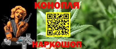 гашик Новокубанск