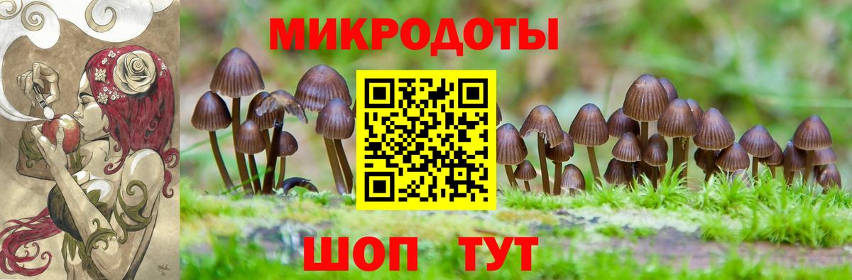 Галлюциногенные грибы Psilocybine cubensis  Вход с VPN  Сертолово 